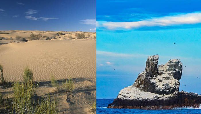 desierto-de-altar-g01-p01-desierto-sonorense