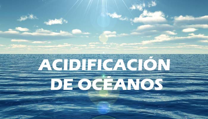 hdwallpaperbackgrounds-in-fileminimizer