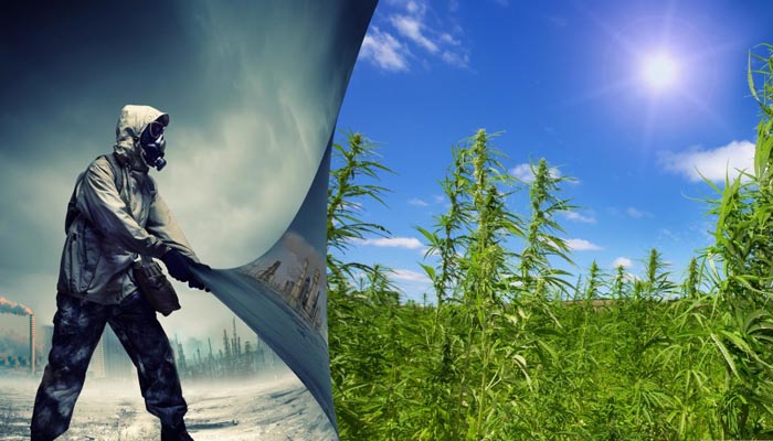 is-hemp-the-best-biofuel-1024x540
