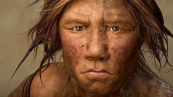 neandertal-mujer-n-644x362-43362_561x316