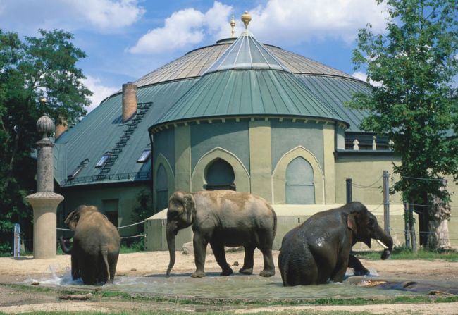Elefantenhaus im Tierpark Hellabrunn, M?nchen, Oberbayern, Bayern, Deutschland