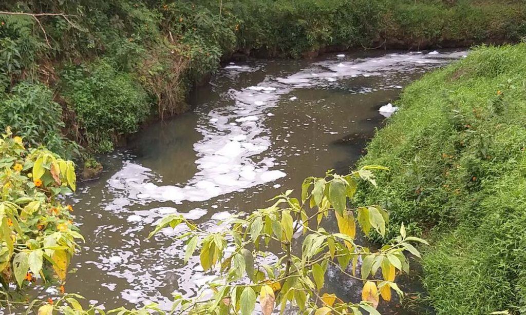 ¿Cómo contaminan los detergentes? – Pensemos Verde